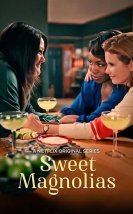 Sweet Magnolias izle