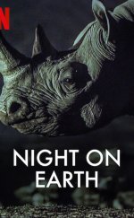 Night On Earth