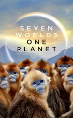 Seven Worlds, One Planet