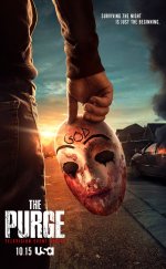 The Purge