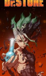 Dr.Stone