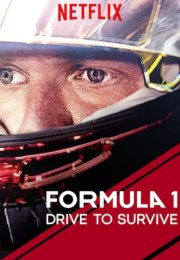 Formula 1 Drive to Survive