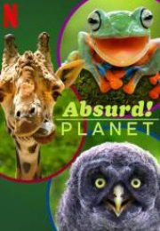 Absurd Planet