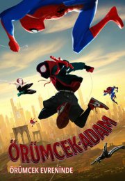 Örümcek Adam Örümcek Evreninde – Spider-Man Into the Spider-Verse (2018