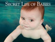 Babies – Bebekler