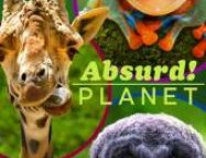 Absurd Planet