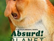 Absurd Planet