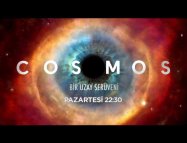 Cosmos: Bir Uzay Serüveni