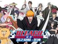 Bleach