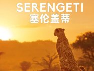 Serengeti