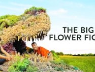 The Big Flower Fight