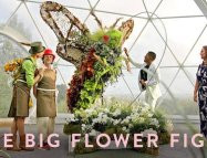 The Big Flower Fight