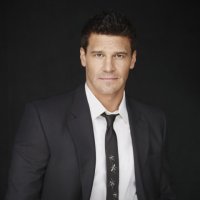 David Boreanaz