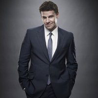 David Boreanaz