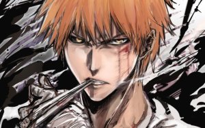 Bleach