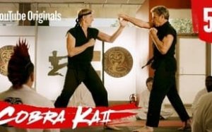 Cobra Kai 2. Sezon 5. Bölüm İzle – Türkçe Dublaj İzle