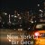 New York’ta Bir Gece (Daddio) Film İzle