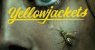 Yellowjackets izle